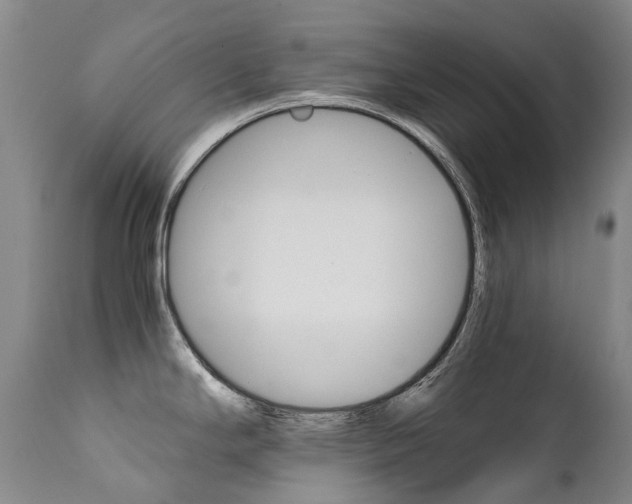 X0000111631294200907171119