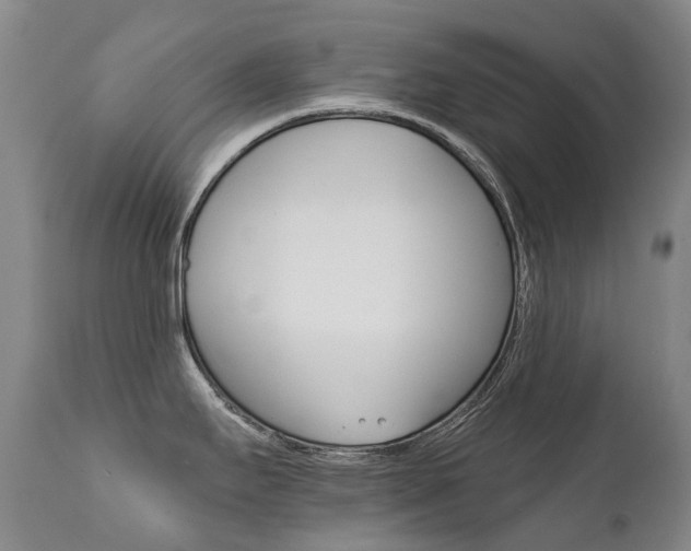 X0000111631295200907171119