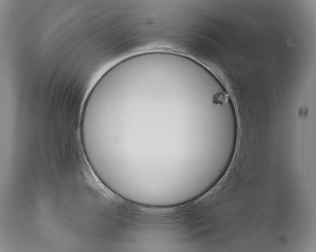 X0000111631296200907171119