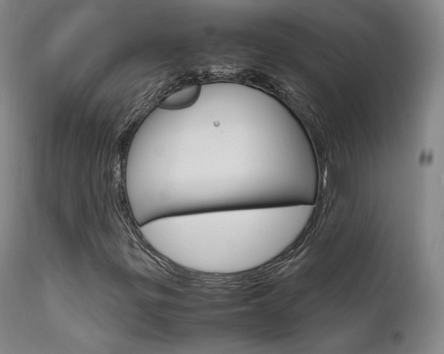 X0000111631299200907171119