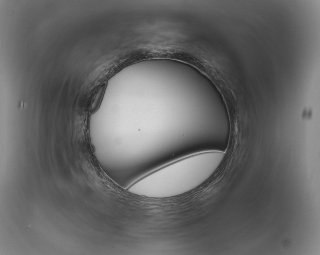 X0000111631300200907171119