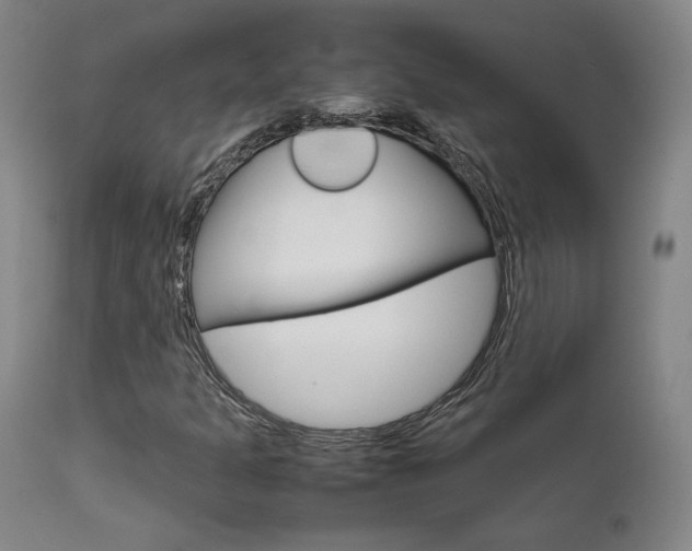 X0000111631301200907171119