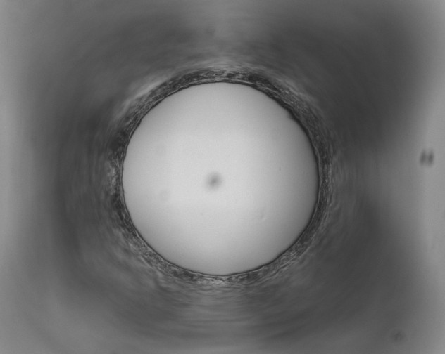 X0000111631302200907171119