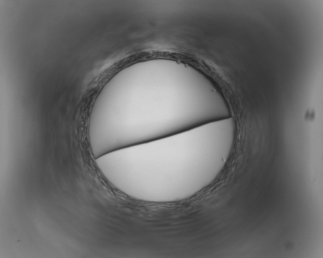 X0000111631303200907171119