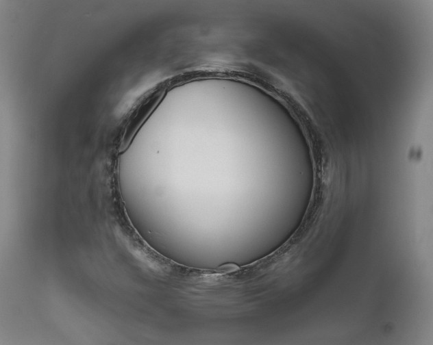 X0000111631304200907171119