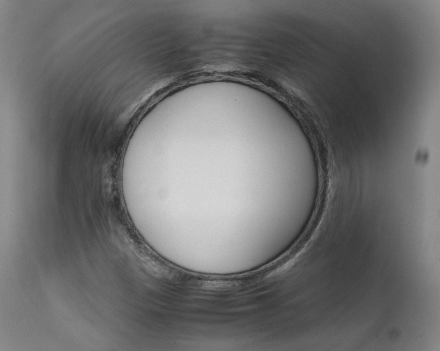 X0000111631305200907171119