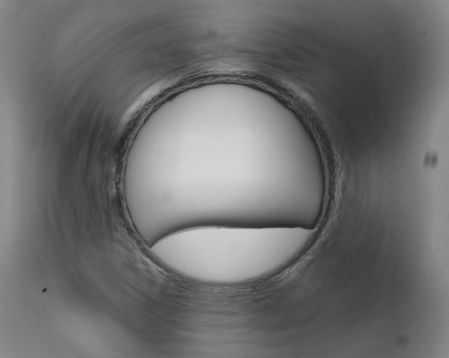 X0000111631306200907171119