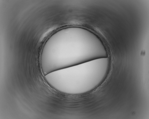 X0000111631307200907171119