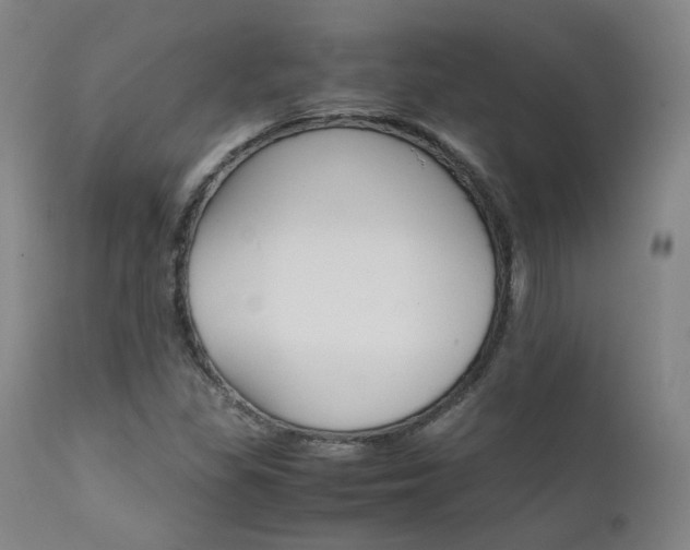 X0000111631309200907171119
