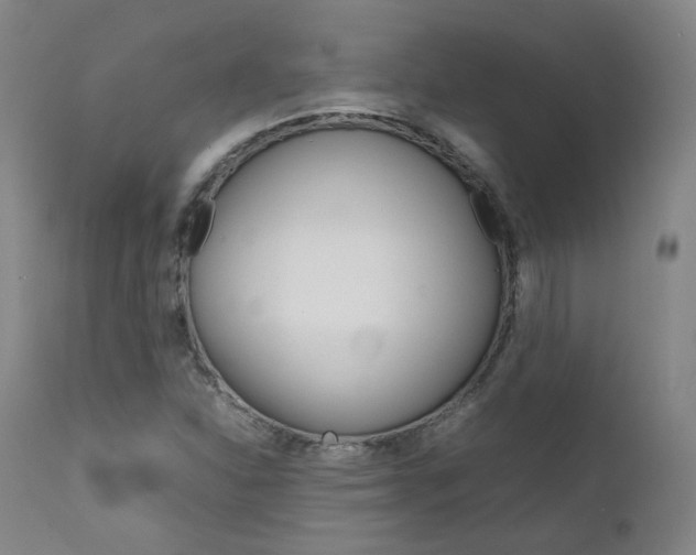 X0000111631310200907171119