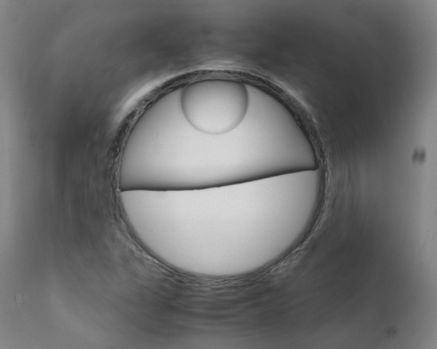 X0000111631311200907171119