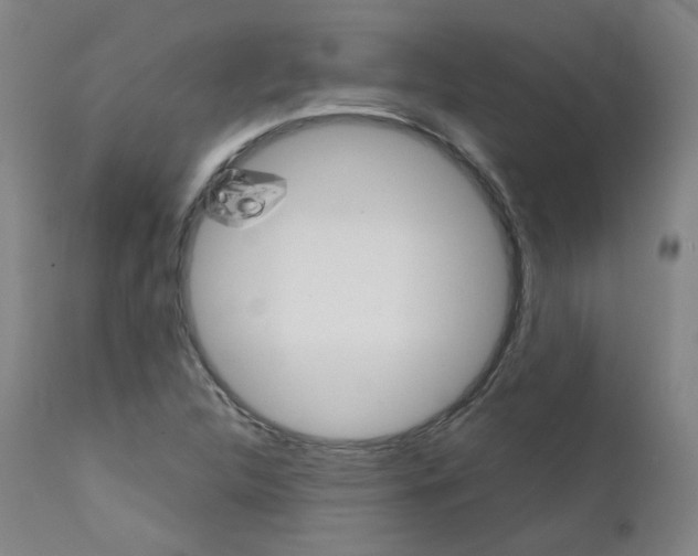 X0000111631312200907171119