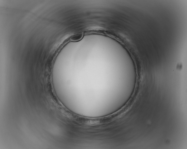 X0000111631313200907171119