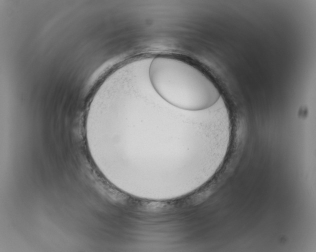 X0000111631314200907171119