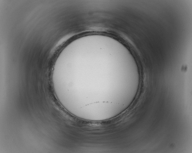 X0000111631315200907171119