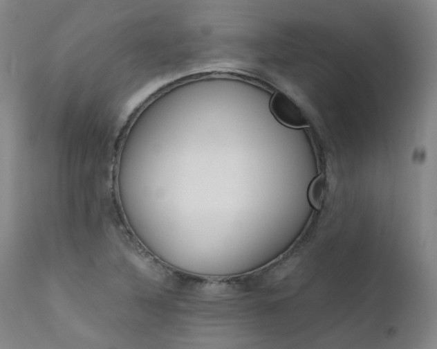 X0000111631316200907171119