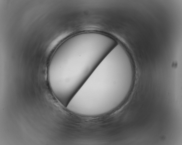 X0000111631317200907171119