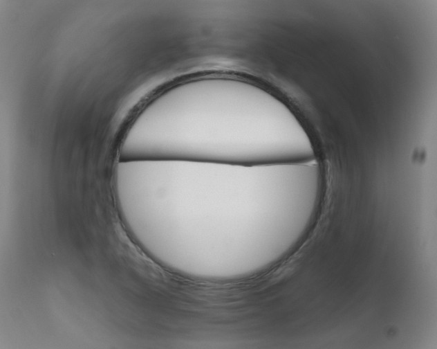 X0000111631318200907171119