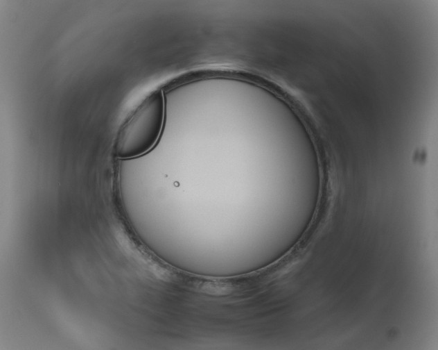 X0000111631319200907171119