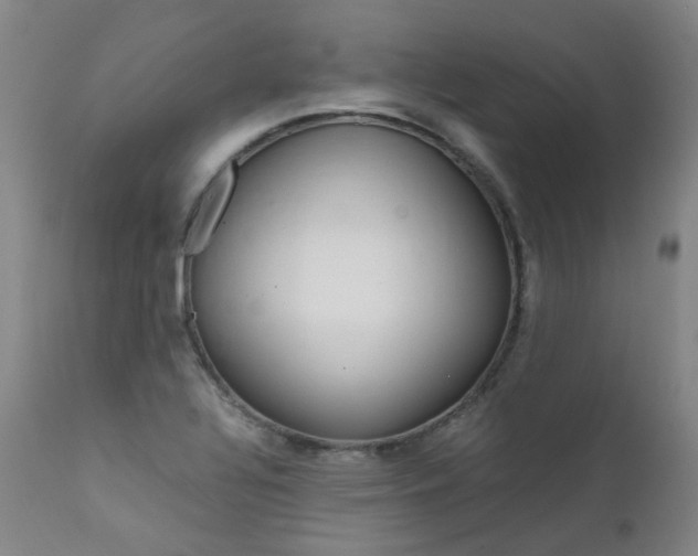 X0000111631320200907171119