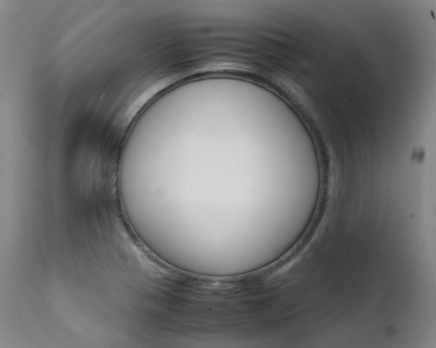 X0000111631321200907171119