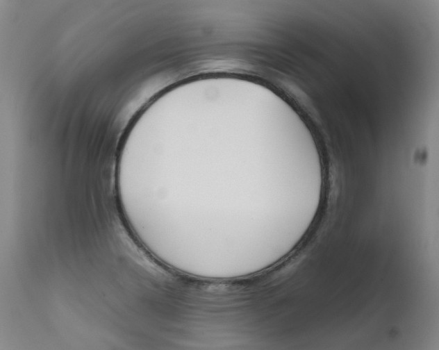 X0000111631322200907171119