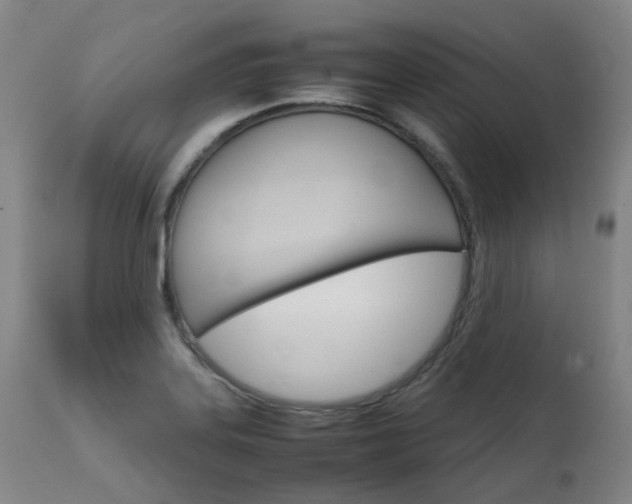 X0000111631323200907171119