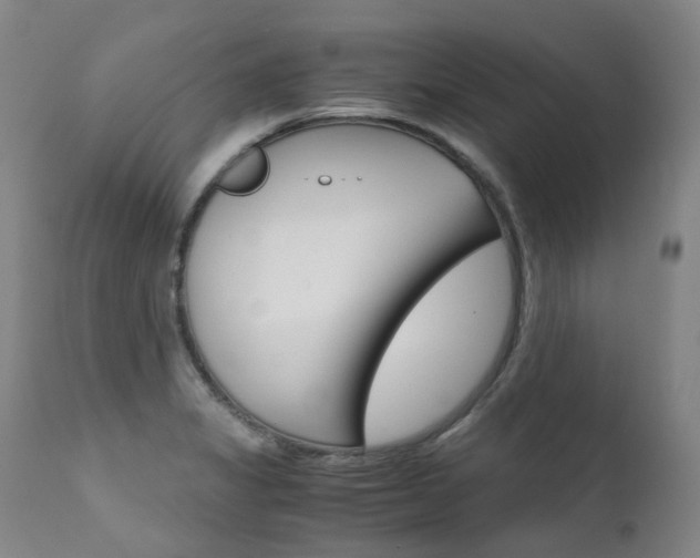 X0000111631325200907171119