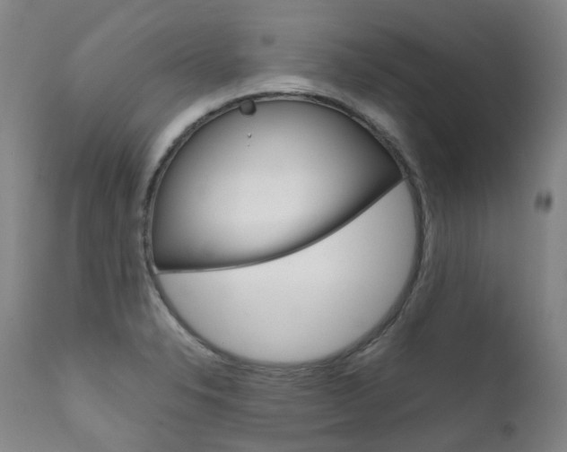 X0000111631326200907171119