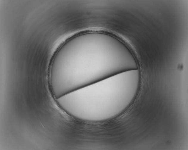 X0000111631327200907171119