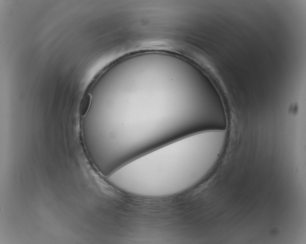X0000111631328200907171119