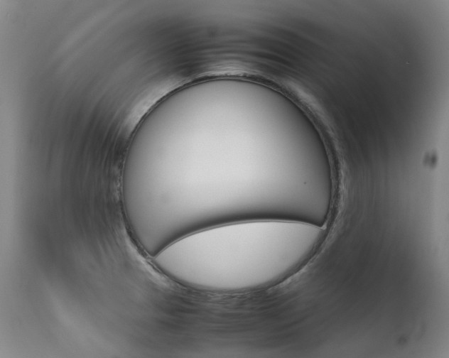 X0000111631329200907171119