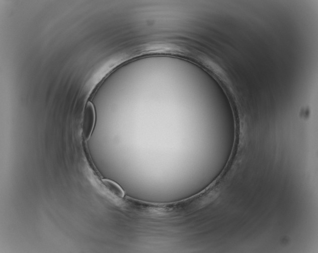 X0000111631330200907171119