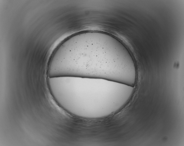 X0000111631331200907171119