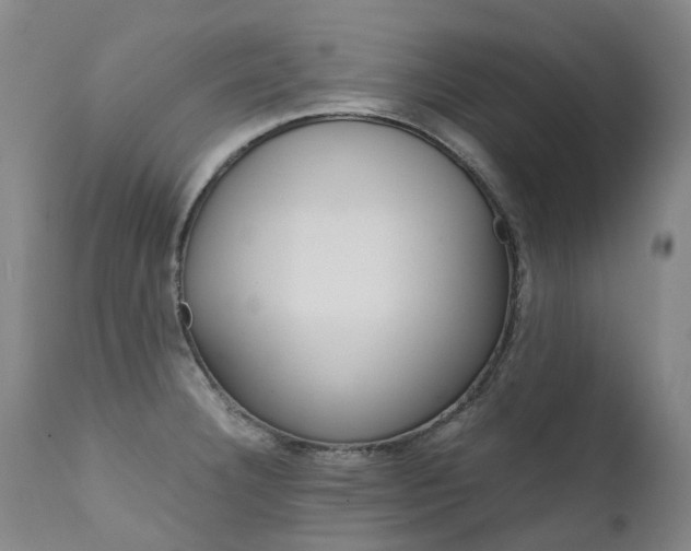 X0000111631332200907171119
