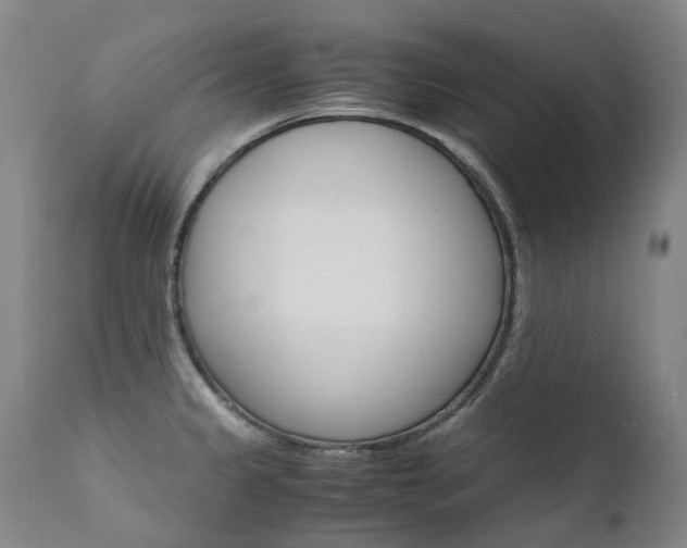 X0000111631333200907171119