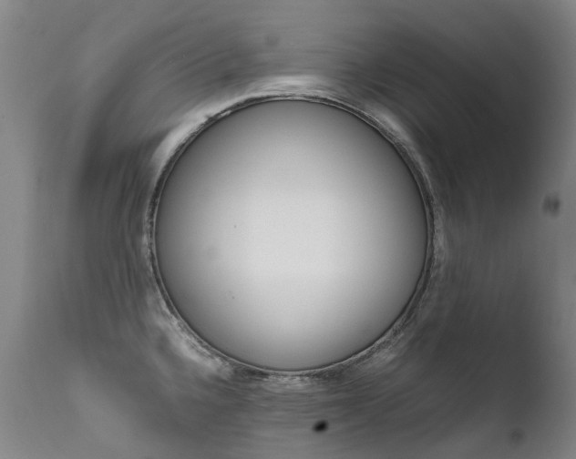 X0000111631336200907171119