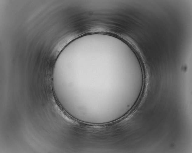 X0000111631337200907171119