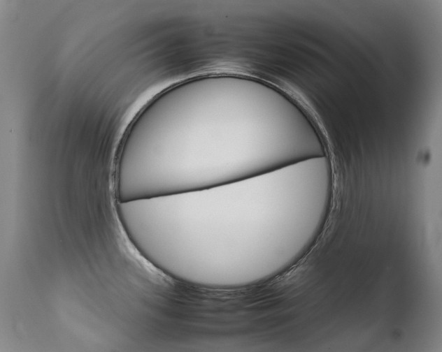 X0000111631339200907171119