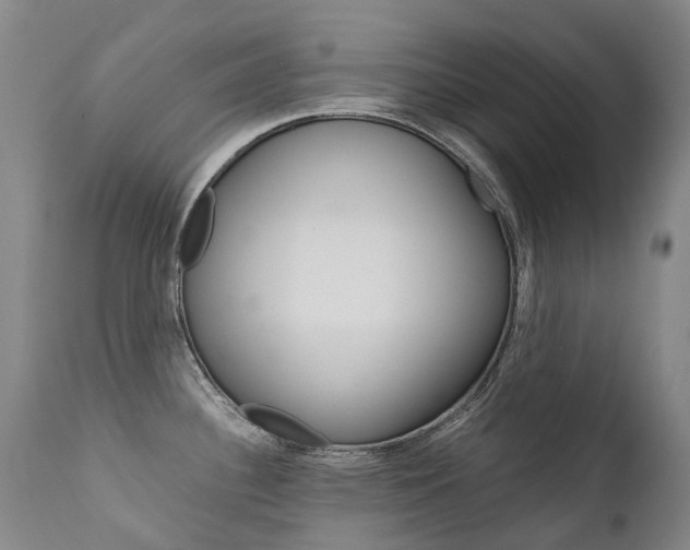 X0000111631340200907171119
