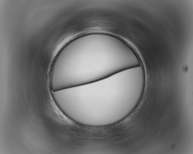 X0000111631341200907171119