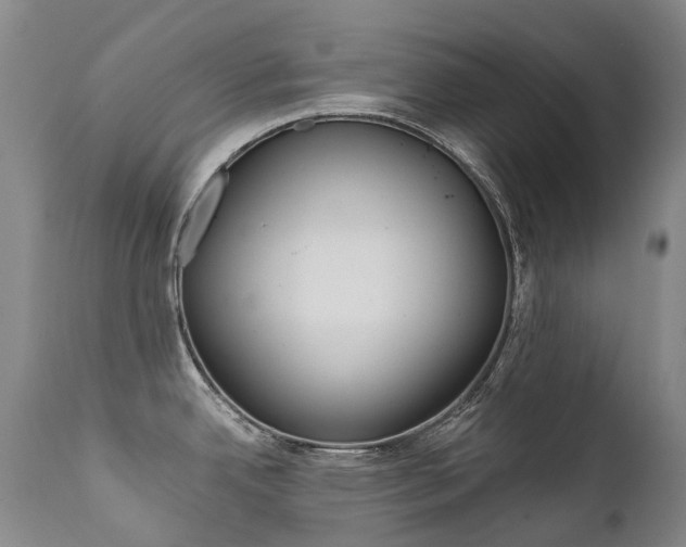 X0000111631342200907171119