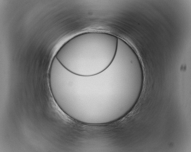 X0000111631344200907171119