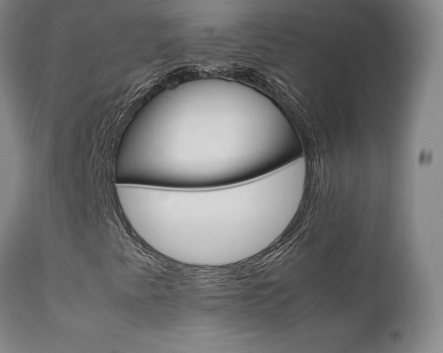X0000111631345200907171119