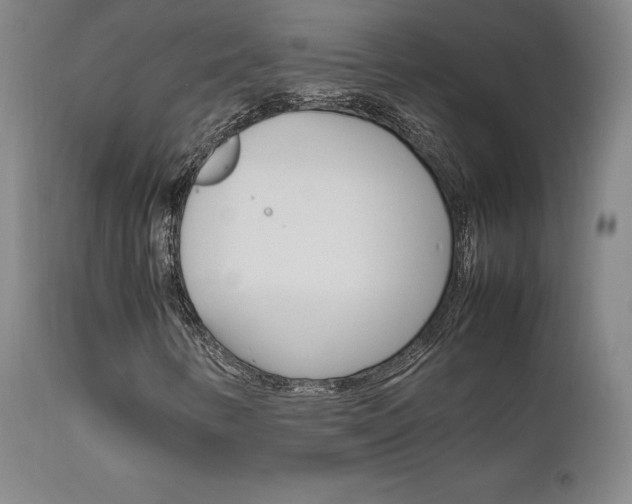 X0000111631346200907171119