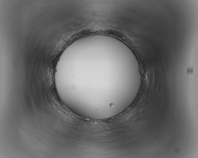 X0000111631348200907171119
