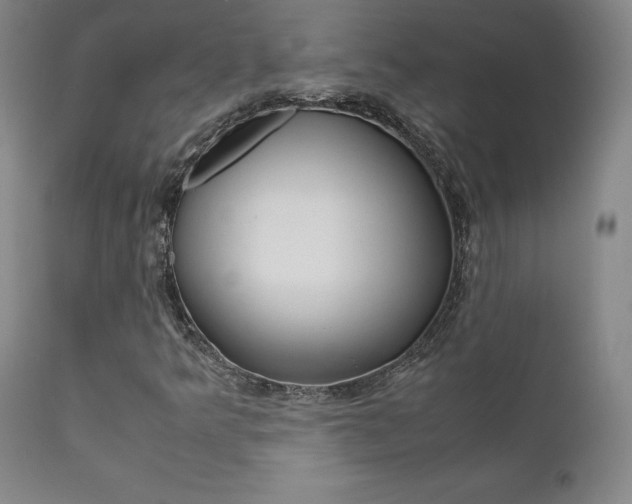 X0000111631349200907171119