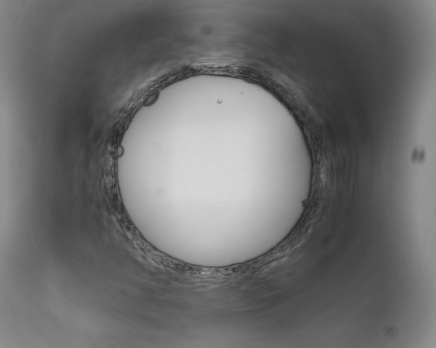 X0000111631350200907171119