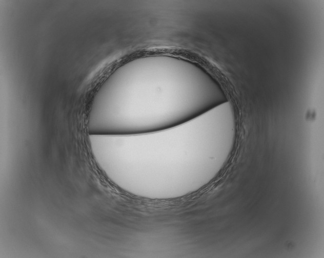 X0000111631351200907171119