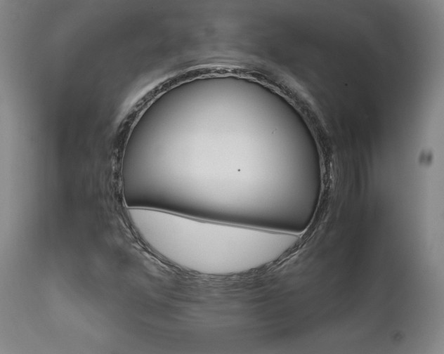 X0000111631352200907171119